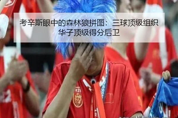 考辛斯眼中的森林狼拼图:三球顶级组织 华子顶级得分后卫 - dafabet